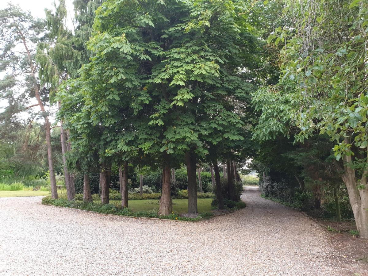 The Reading Whole Chalet With Lake And Two Acre Gardens Ngoại thất bức ảnh